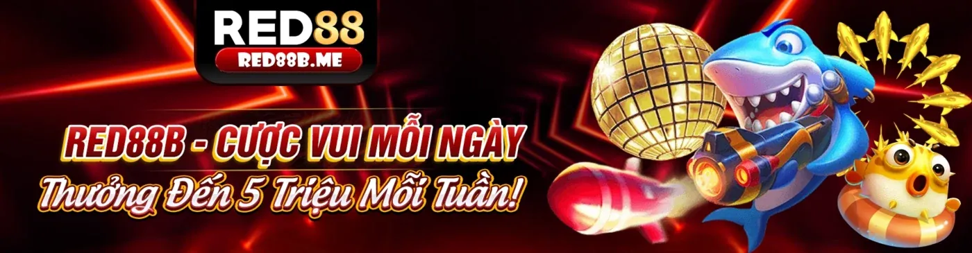 Chính sách Cookie và cài đặt quyền riêng tư tại 888vi